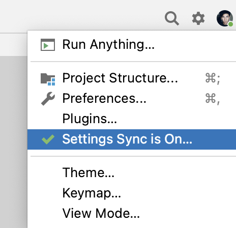 IDE and Project settings menu