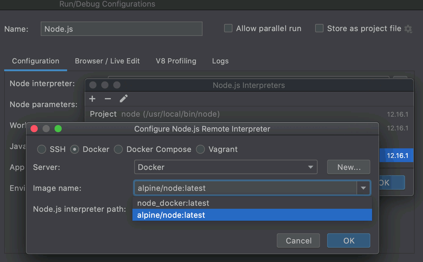 Configuring a remote Node.js interpreter on Docker