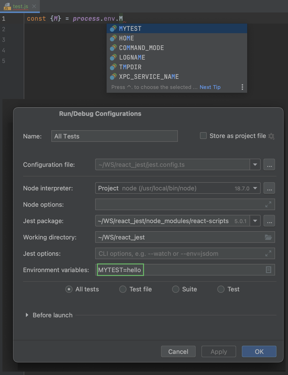 Completion for environment variables from Jest run configuration