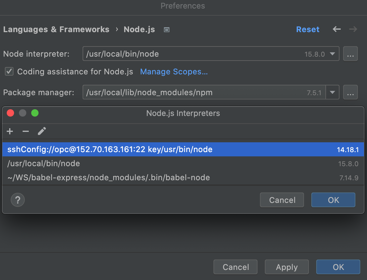 Remote Interpreters dialog: the new Node.js interpreter via SSH added to the list