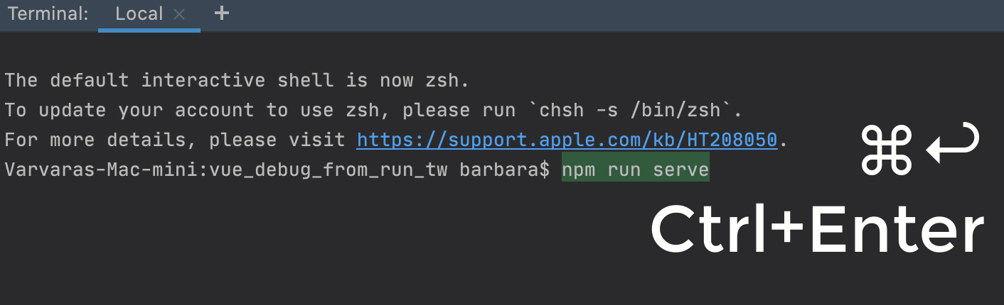 Launch npm serve  from the Terminal to run it in the Run tool window