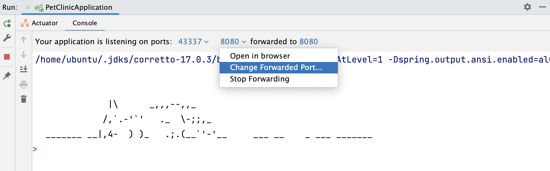 Change Forwarded Port