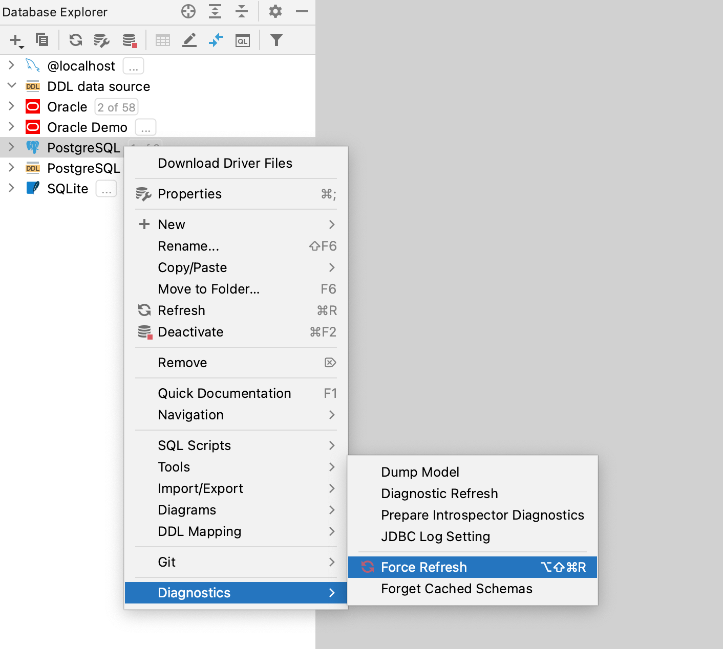 Force refresh schema information