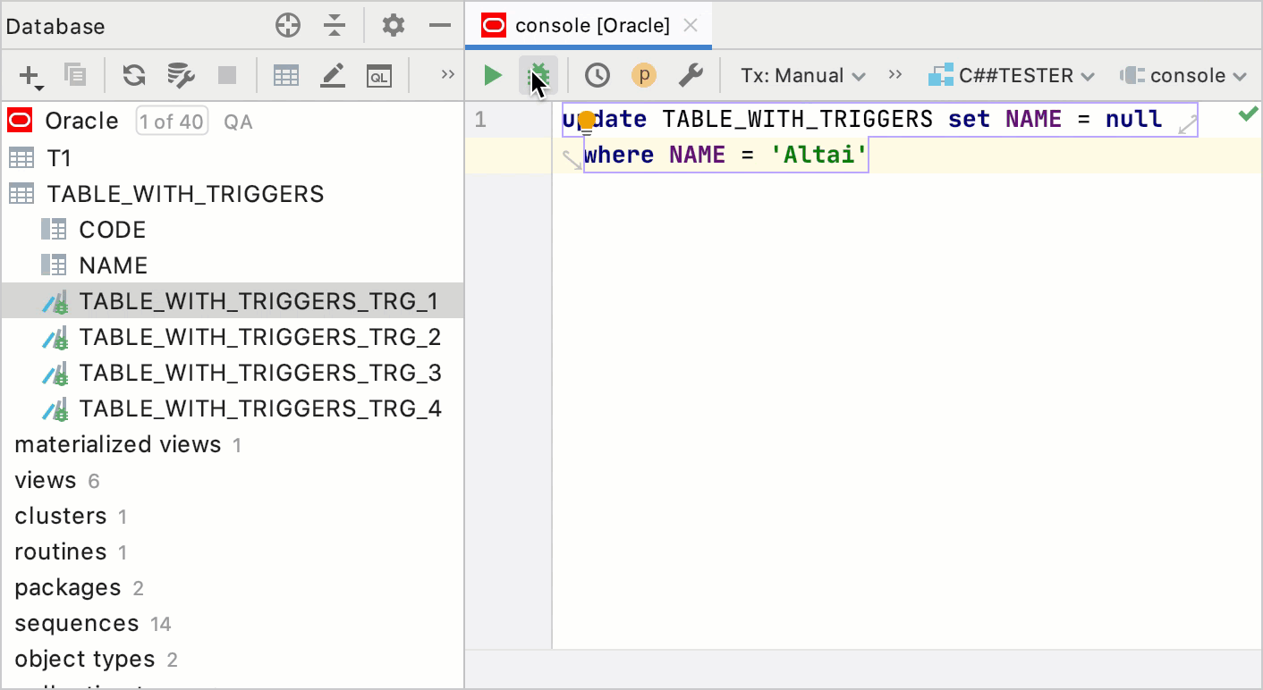 Debug PL/SQL program objects through anonymous blocks