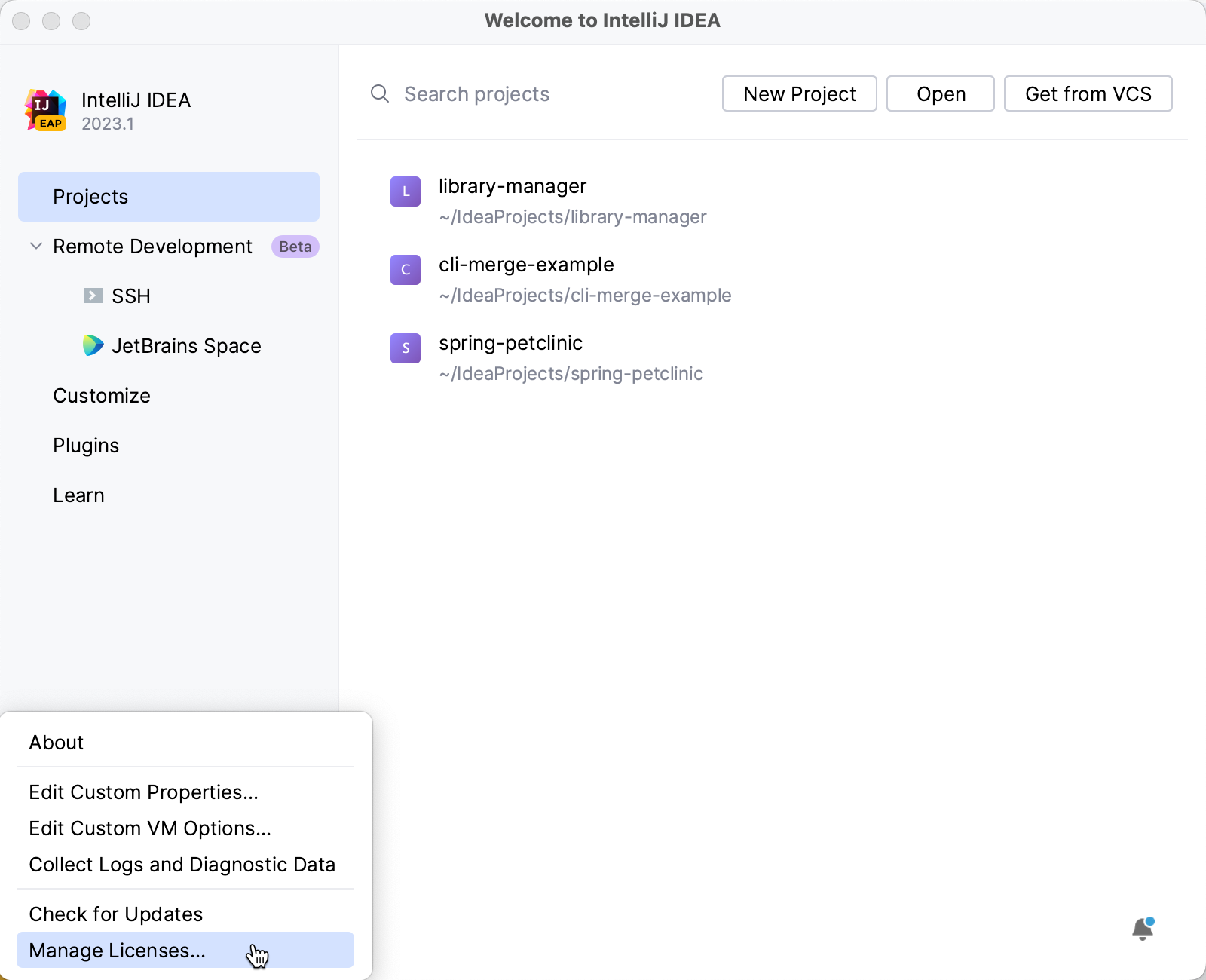 IntelliJ IDEA: Licenses dialog