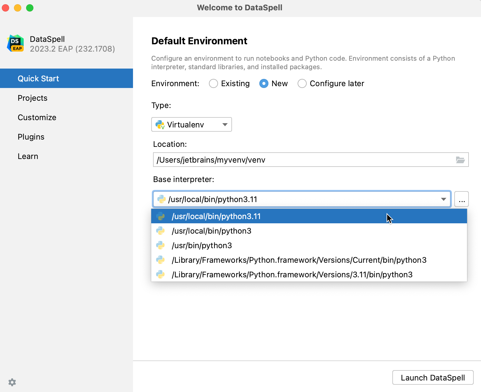 Select system interpreter