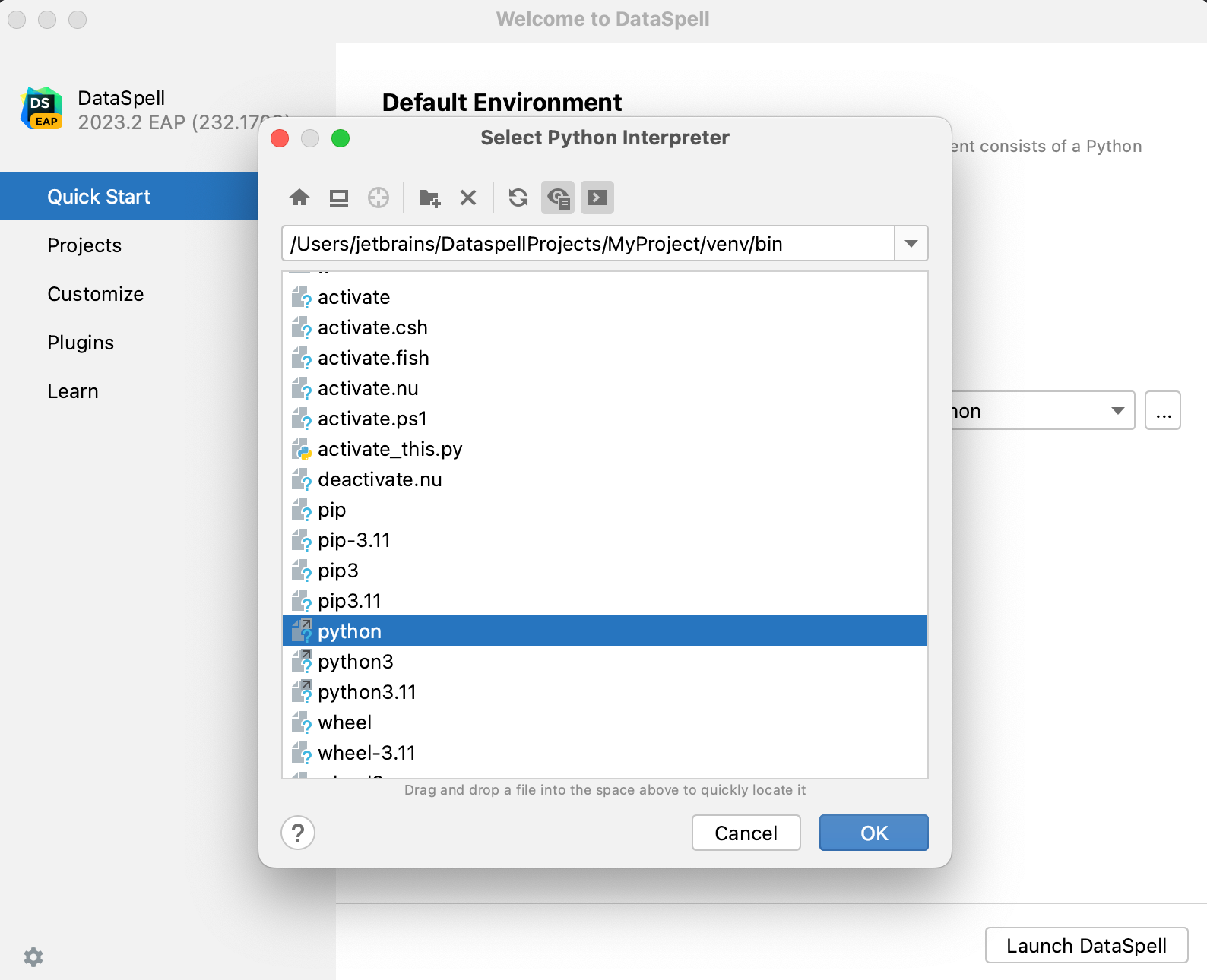 Select an existing virtualenv environment