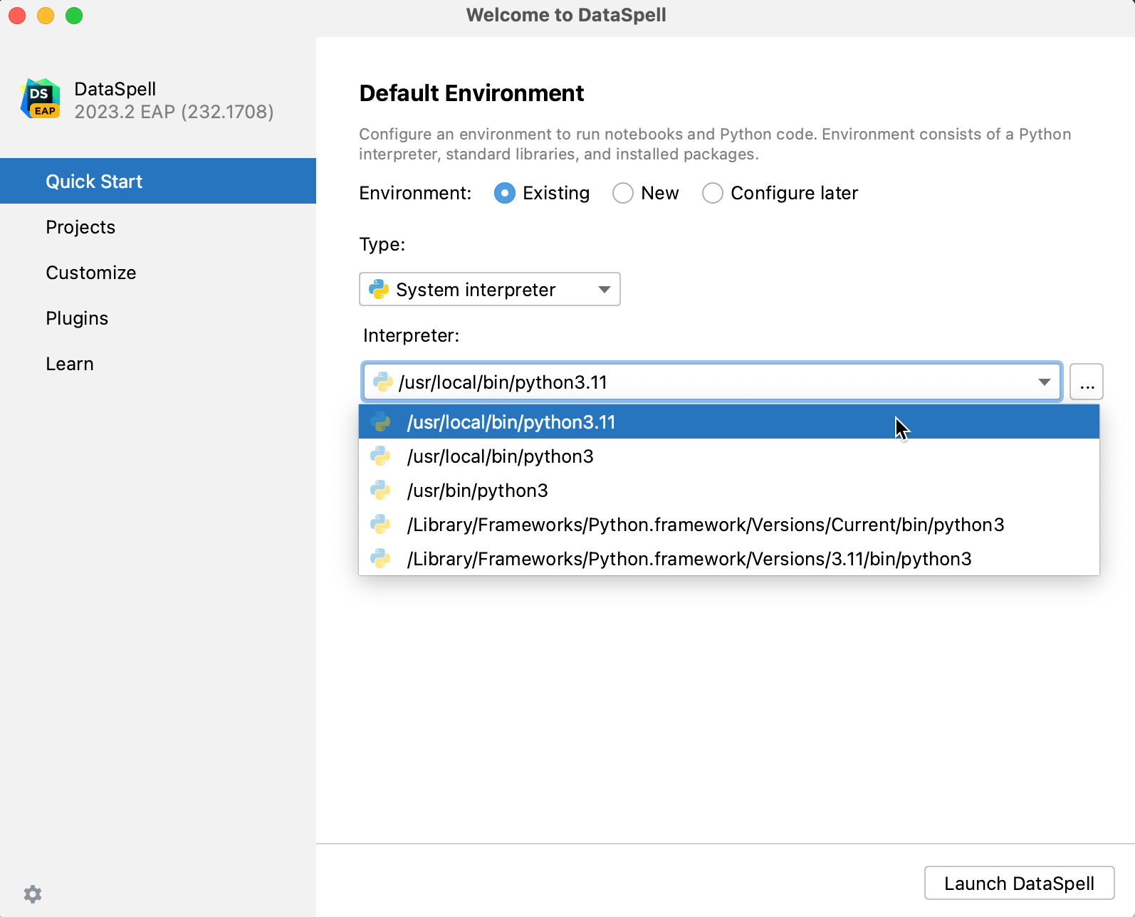 Select system interpreter