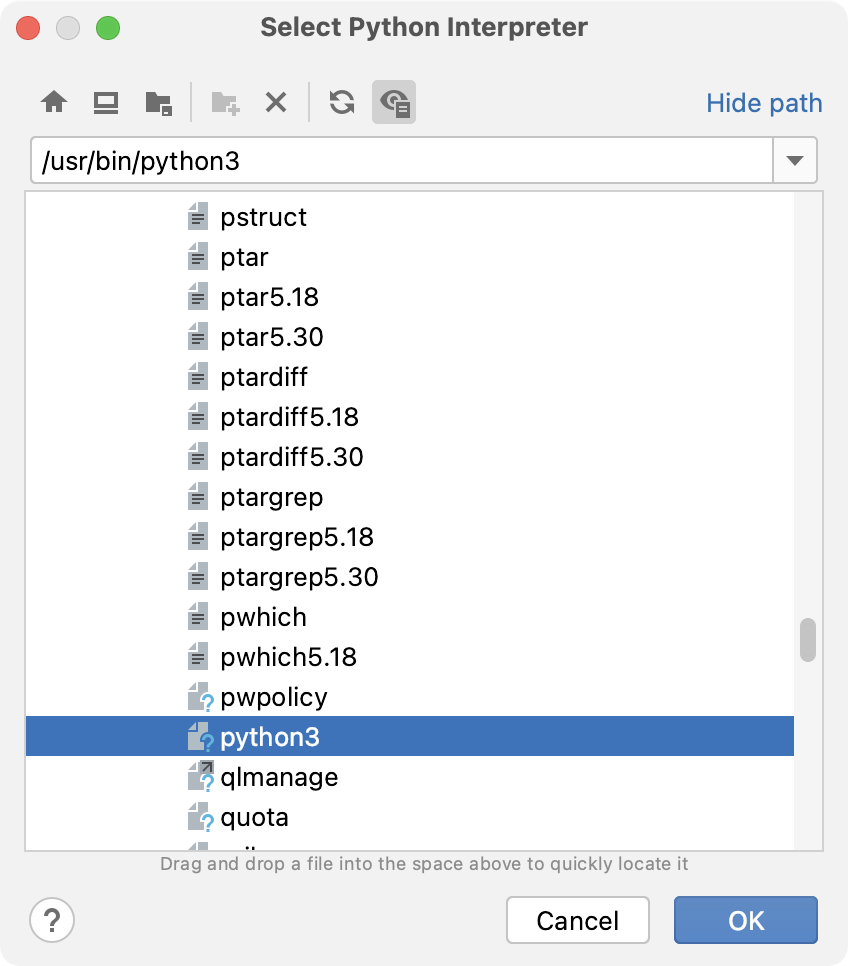 Selecting the Python executable