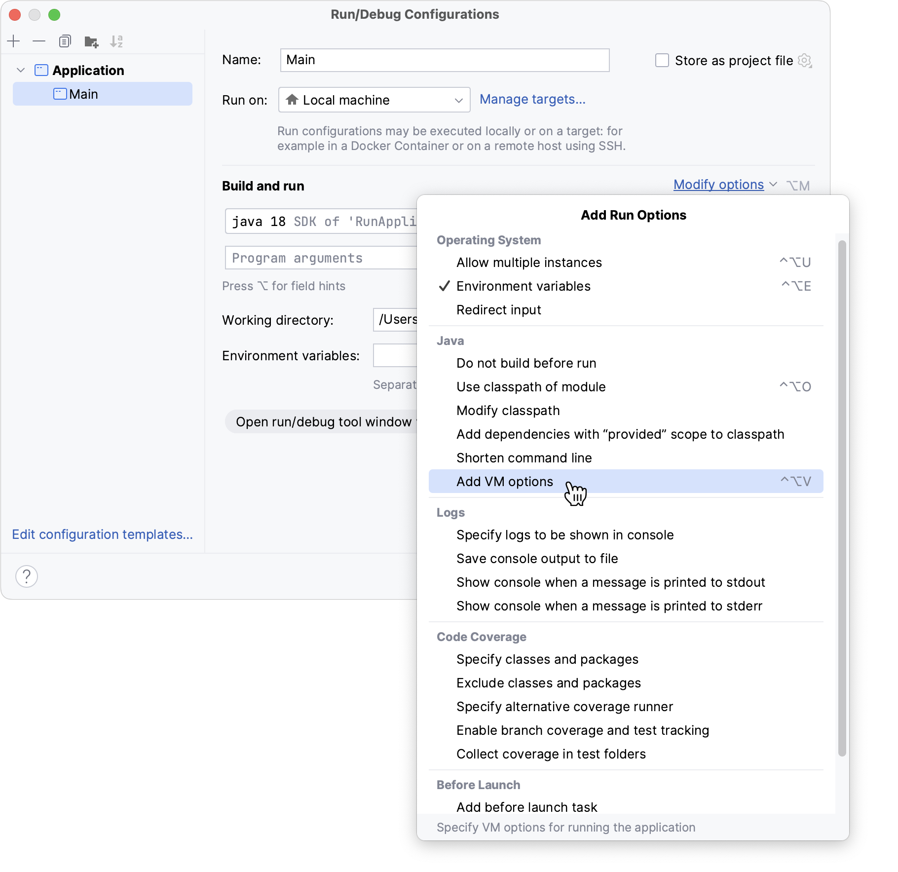 Run/Debug Configuration: Application, More Options