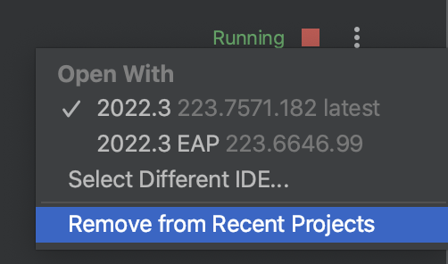 Stop IDE Backend