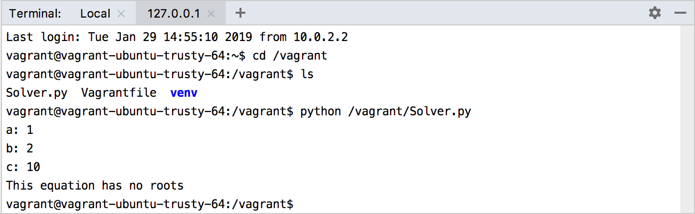 Running the script in the Vagrant VM