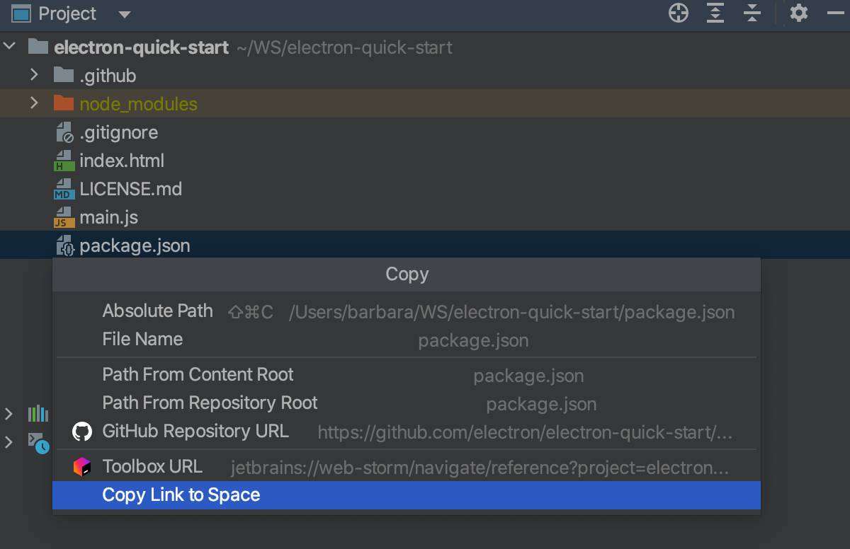 Open a file from shared project in Space: Copy Path