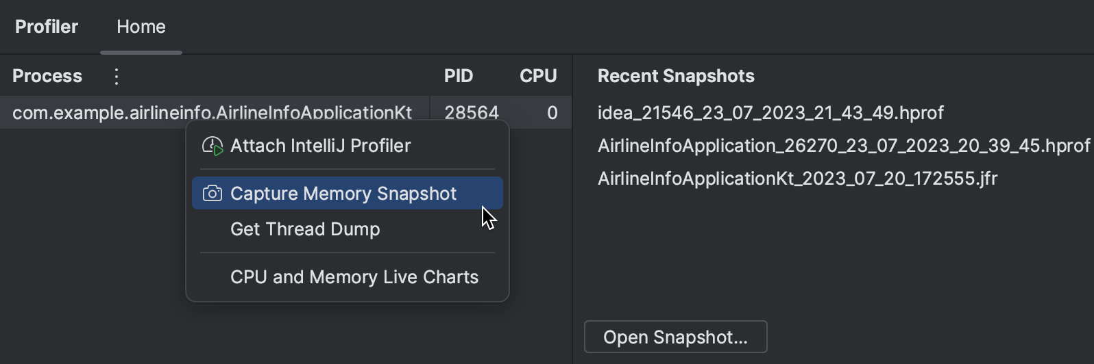 Create and open memory snapshots IntelliJ IDEA Documentation