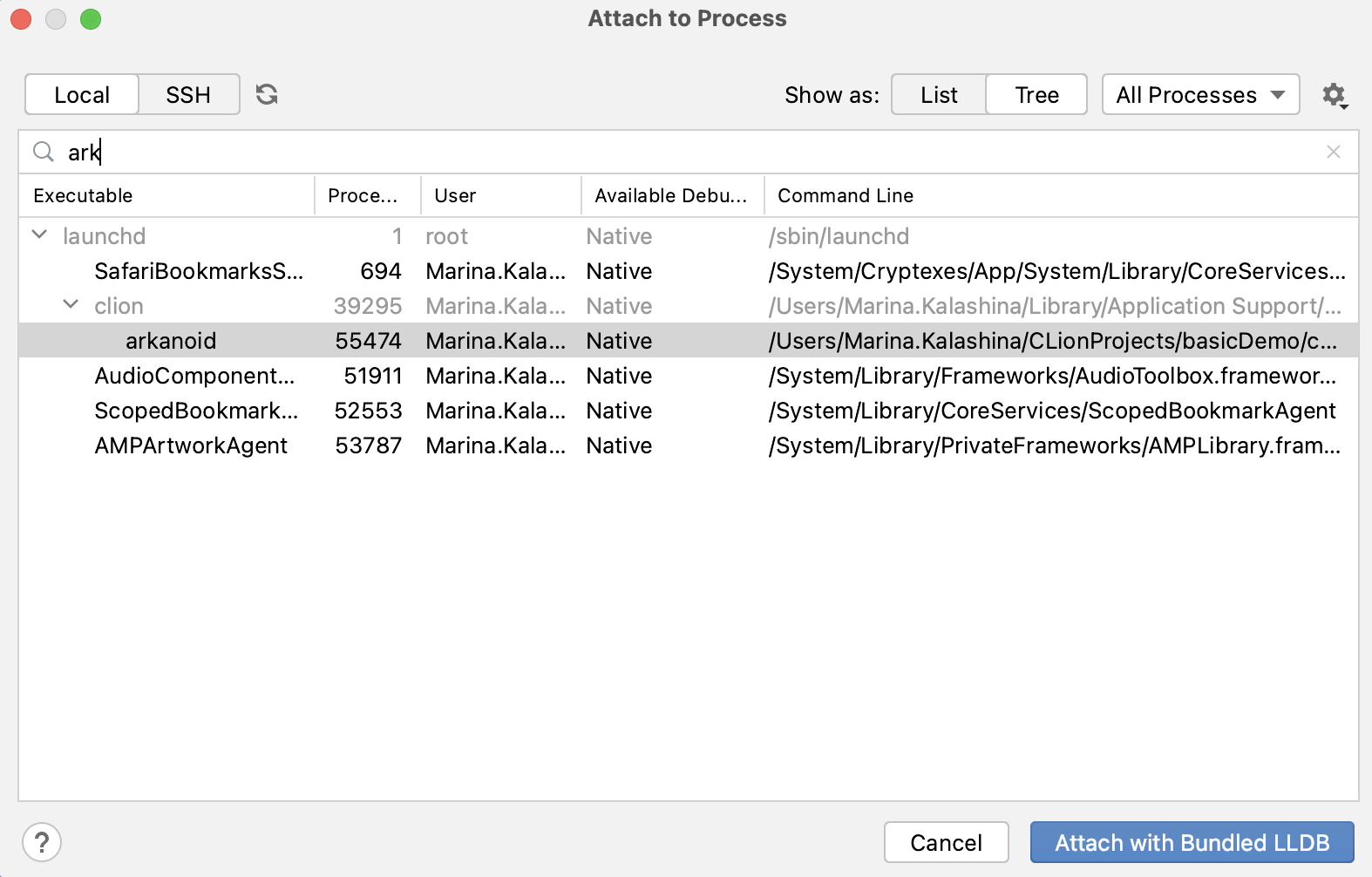 Searching in the Attach to Process dialog