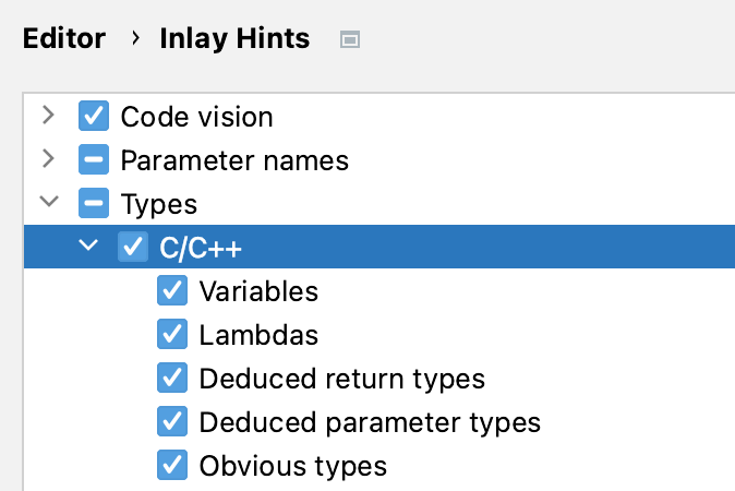 Type hints settings