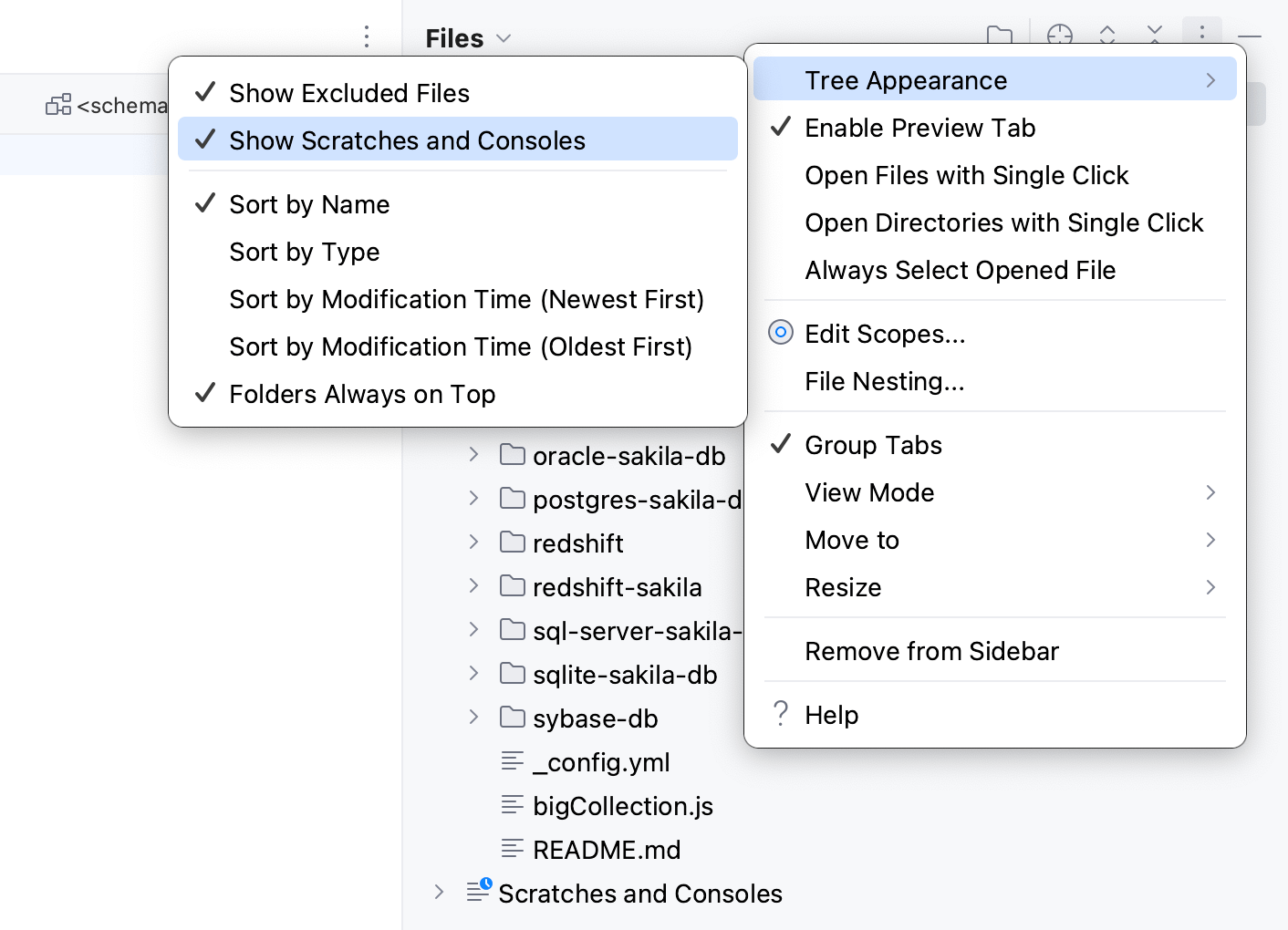 the Hide Scratches and Directories option