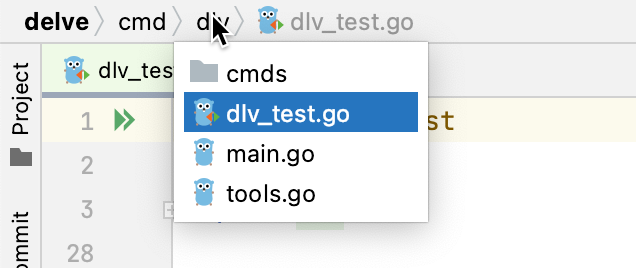 GoLand: using navigation bar to open files