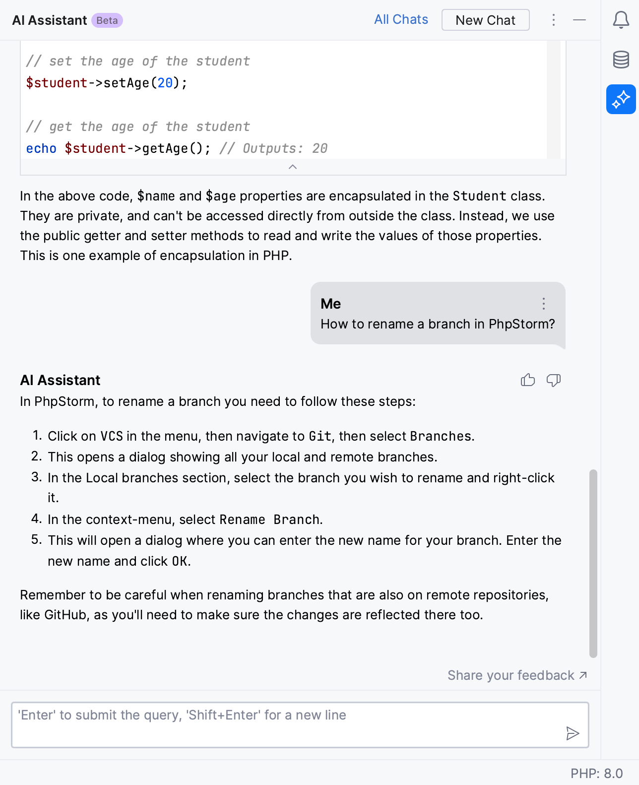 PhpStorm: Asking AI Assistant programming-related questions