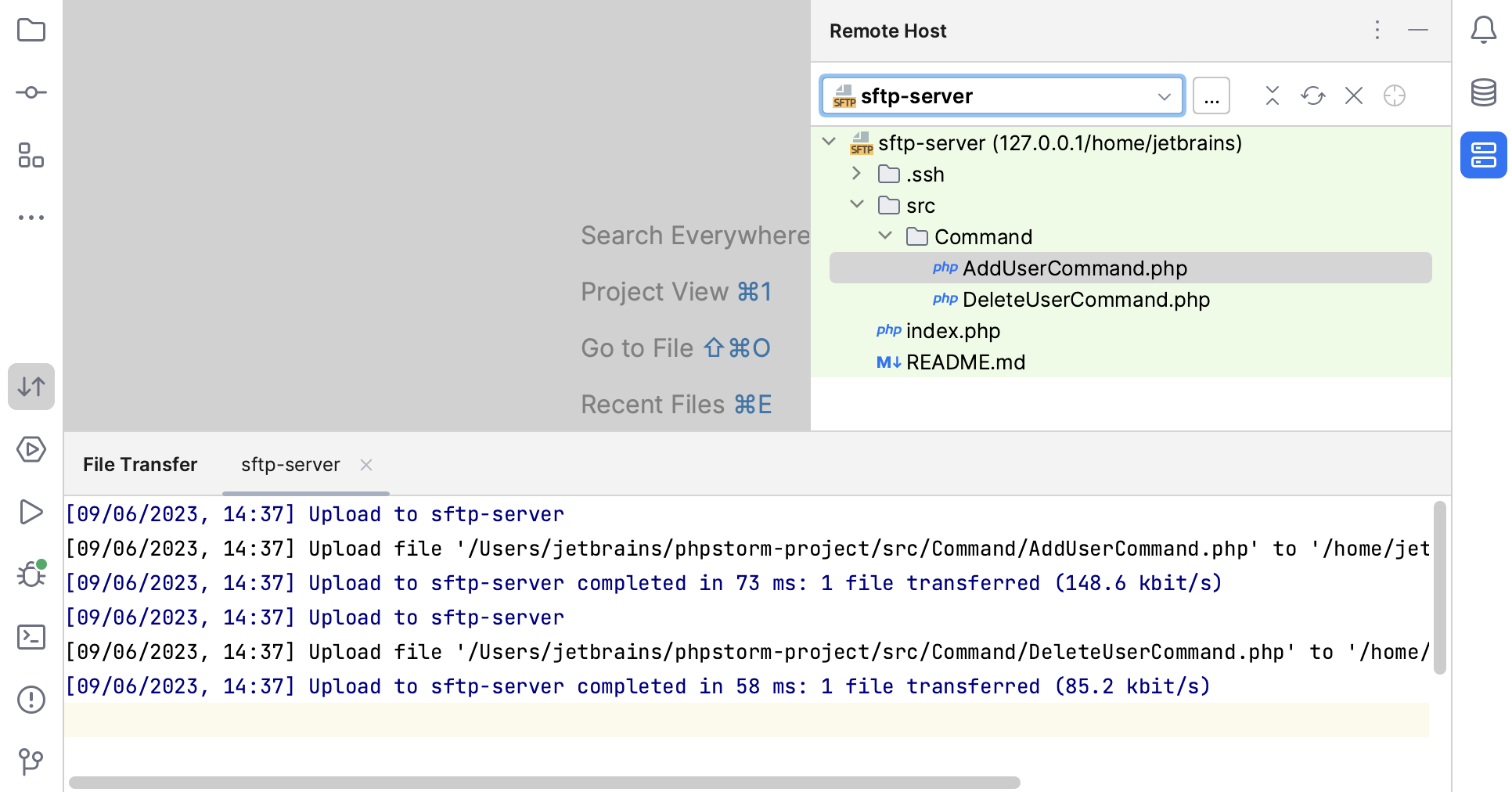 File Transfer tool window