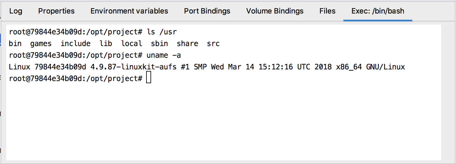 The Exec tab with /bin/bash running