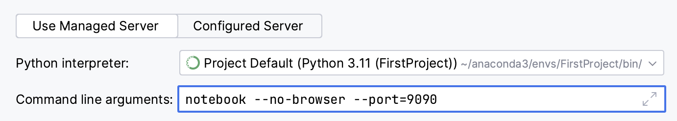 Entries in Command line arguments fields in the managed server