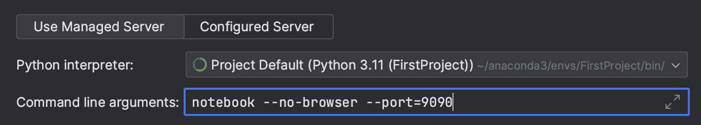 Manage Jupyter notebook servers | IntelliJ IDEA Documentation