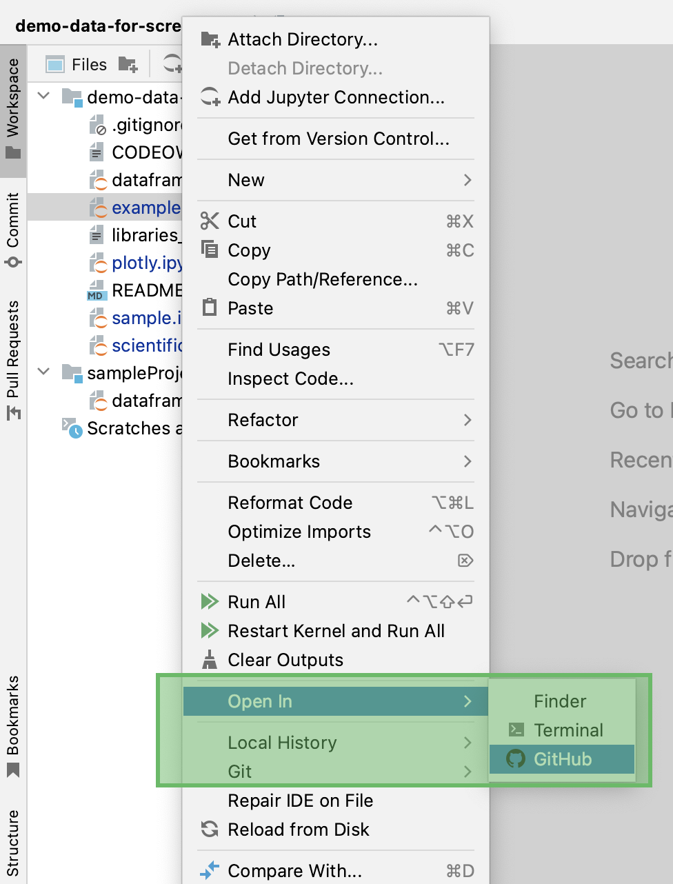 Opening the GitHub version of the file