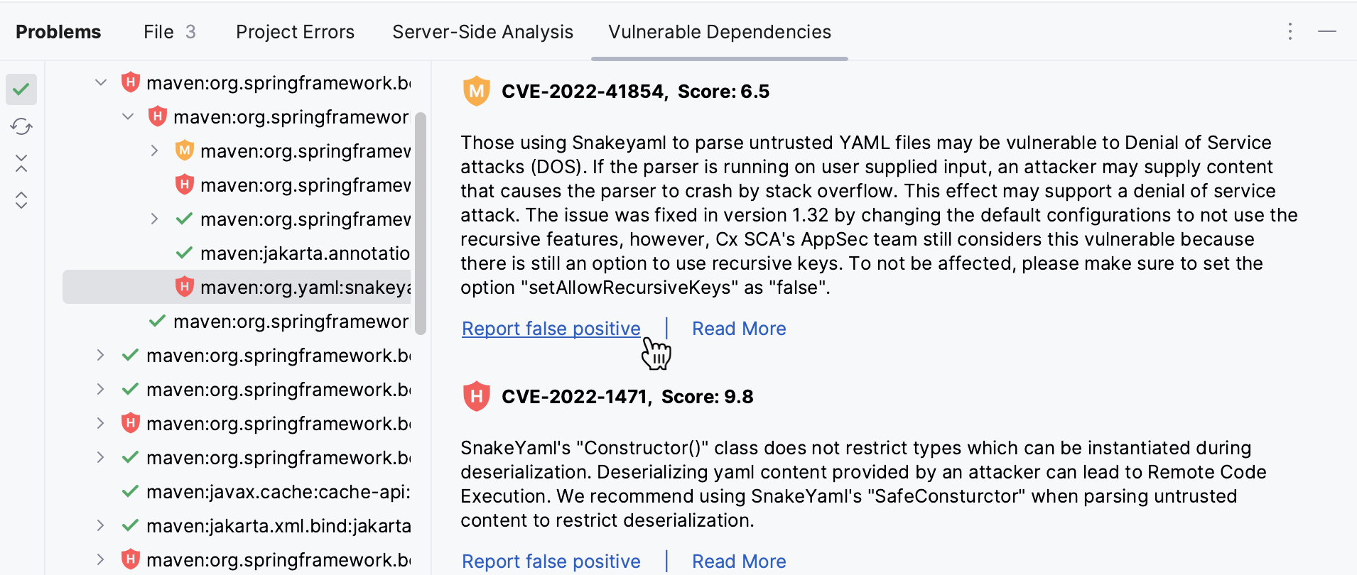 Report false vulnerable dependency