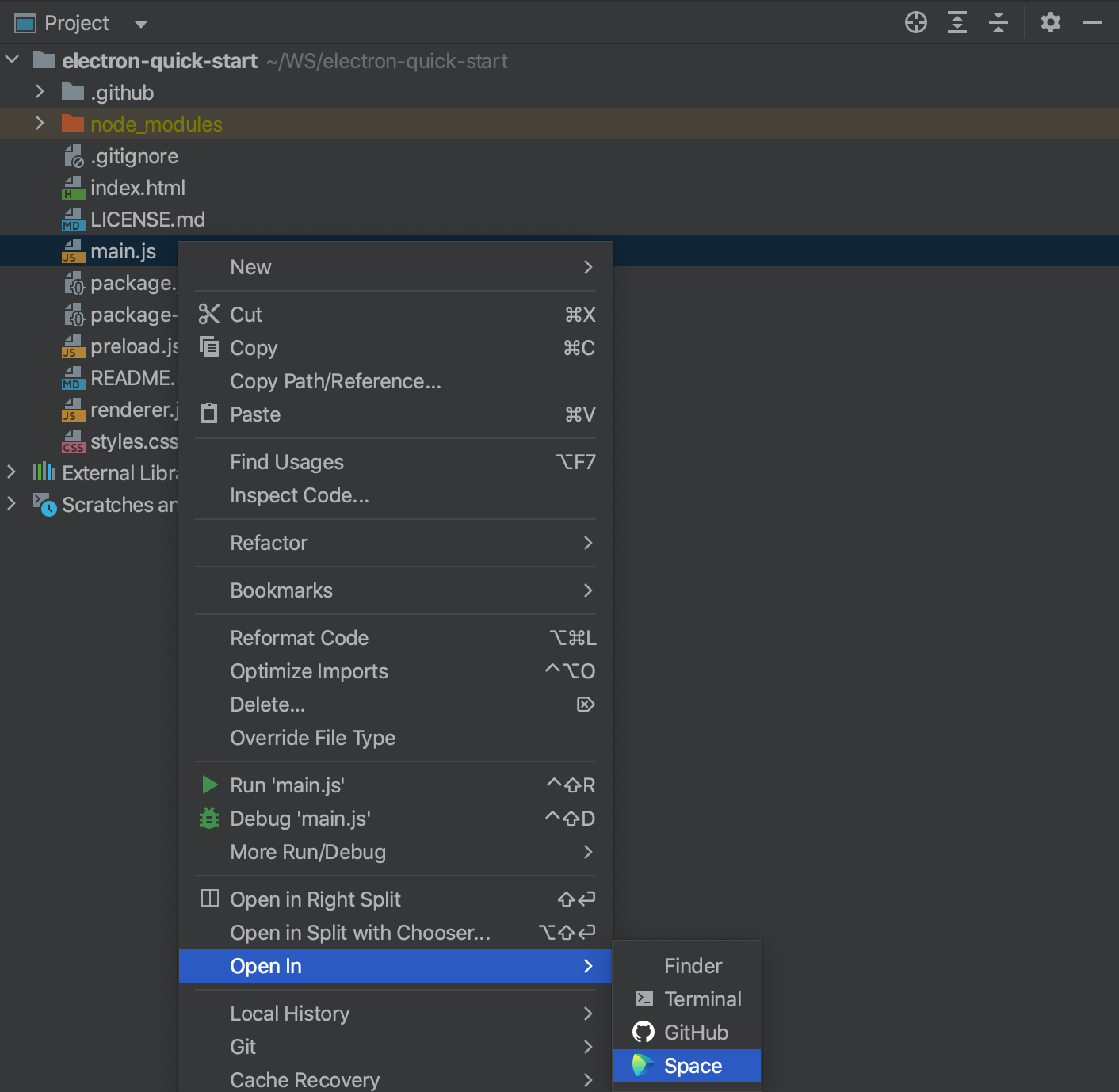 Open a file from shared project in Space from WebStorm