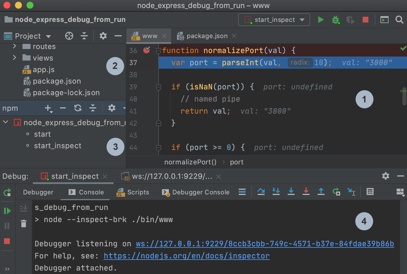 WebStorm tool windows