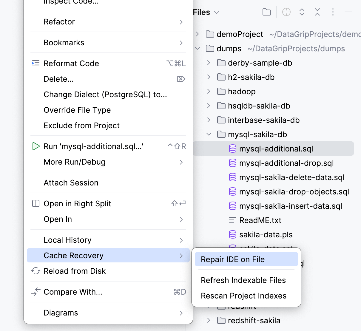 Repair IDE on File