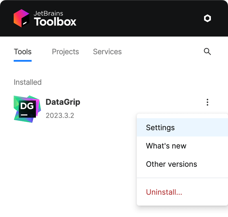 Opening IDE instance settings in Toolbox App