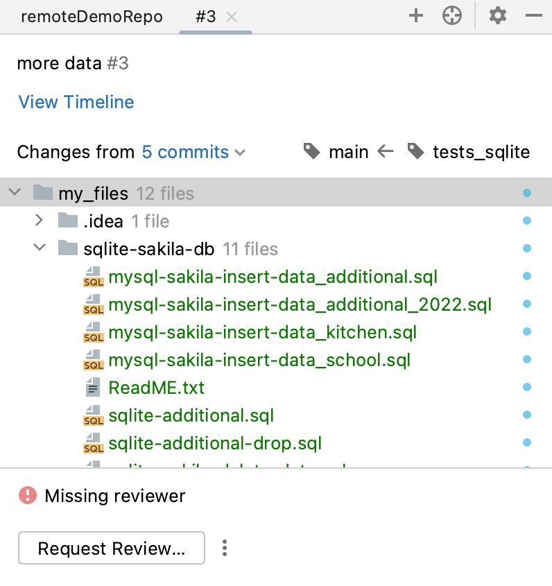 Tab with an overview of the selected pull request