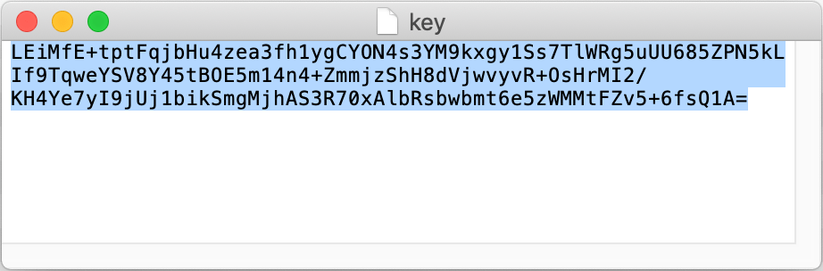 RSA key in a text editor