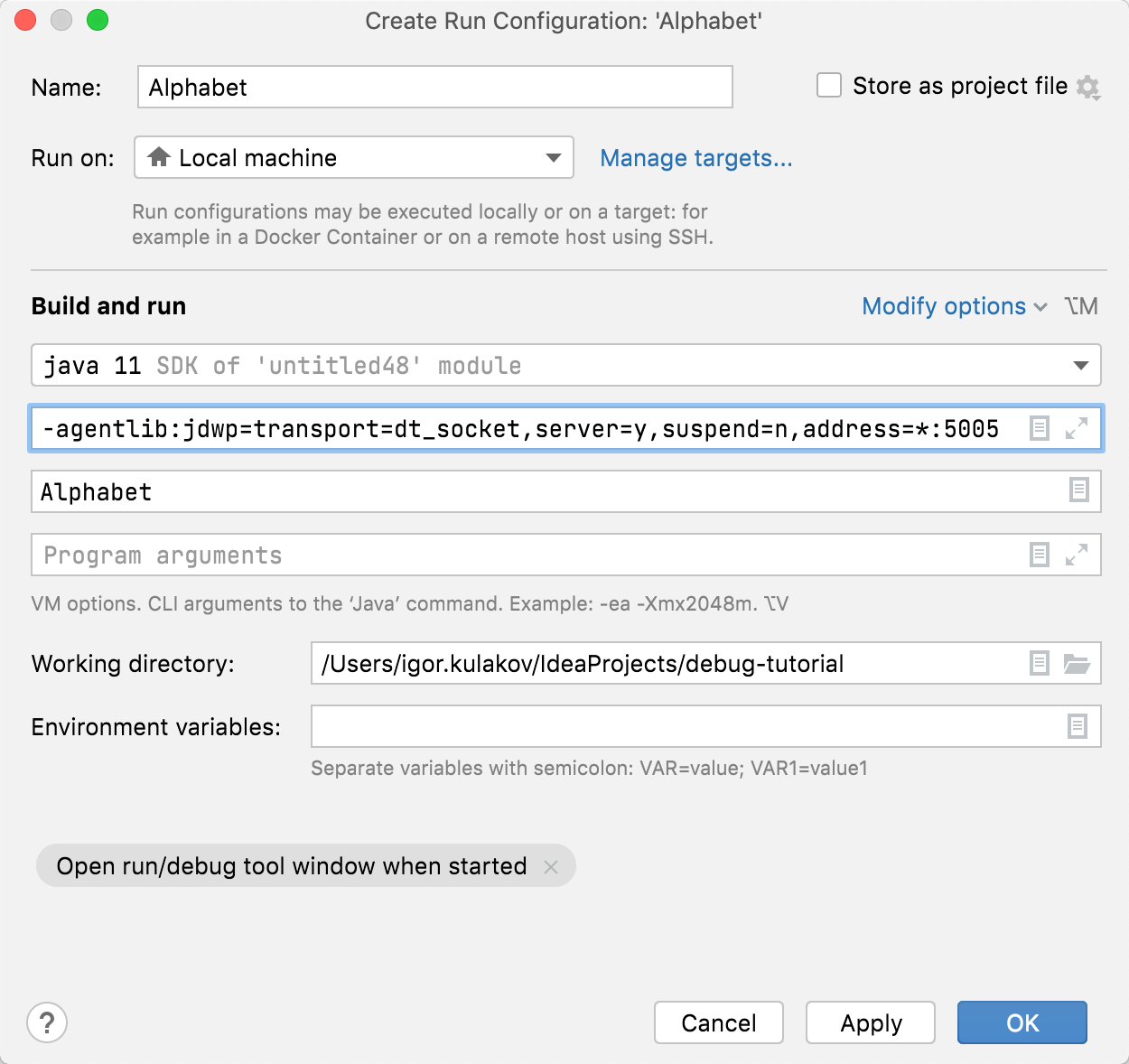 VM options field in the run/debug configuration of the host app