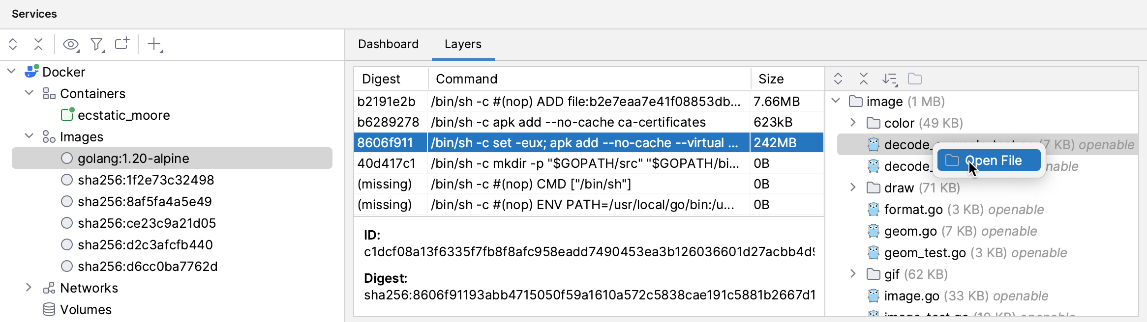 Open a file from a Docker layer