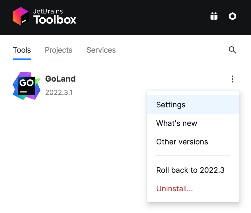 Opening IDE instance settings in Toolbox App