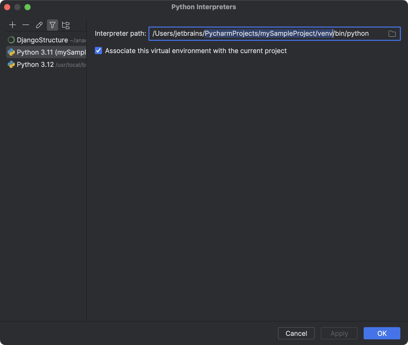Discover the interpreter path for the selected venv