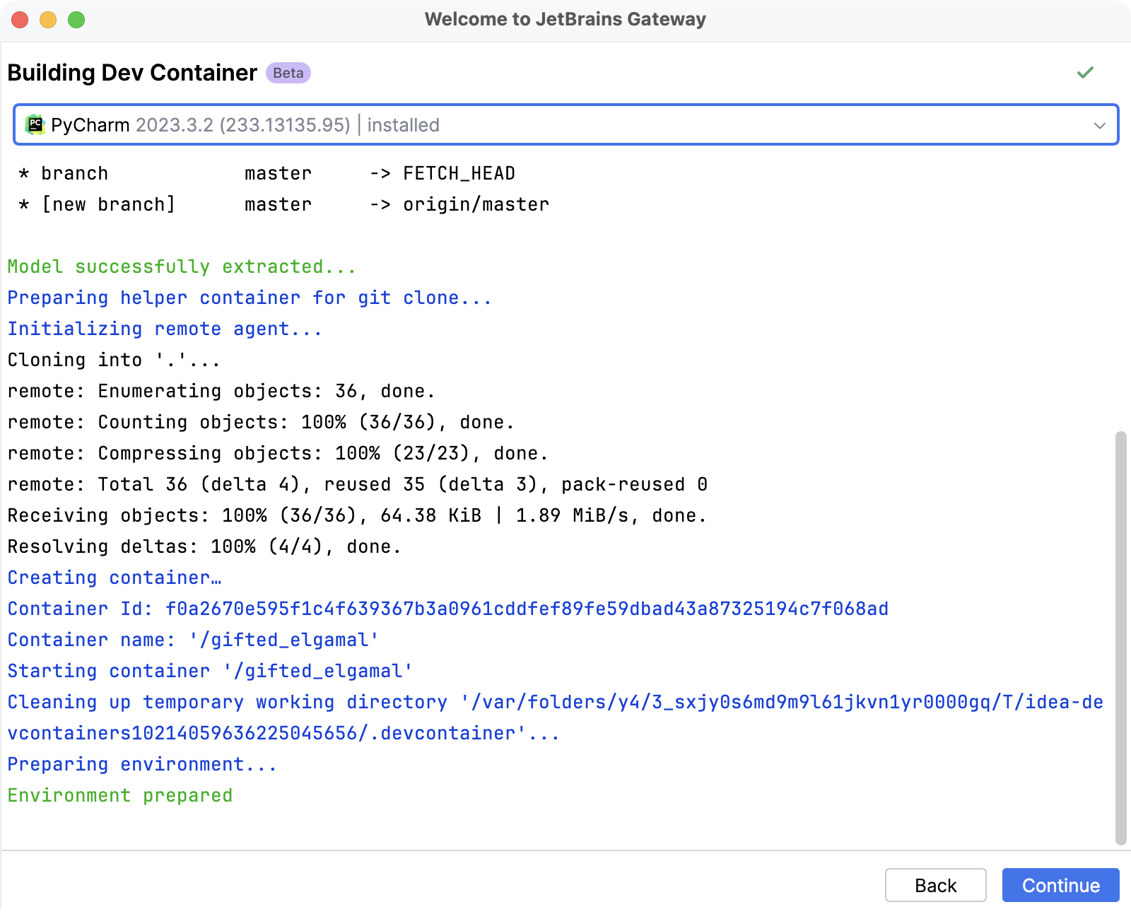 Preparing dev container