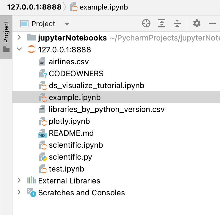 项目工具窗口中的远程 Jupyter 服务器