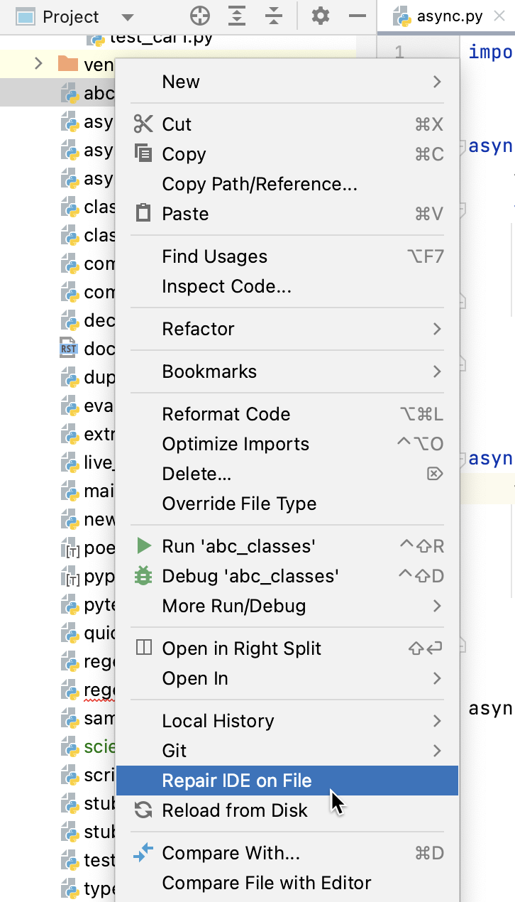 修复文件上的 IDE