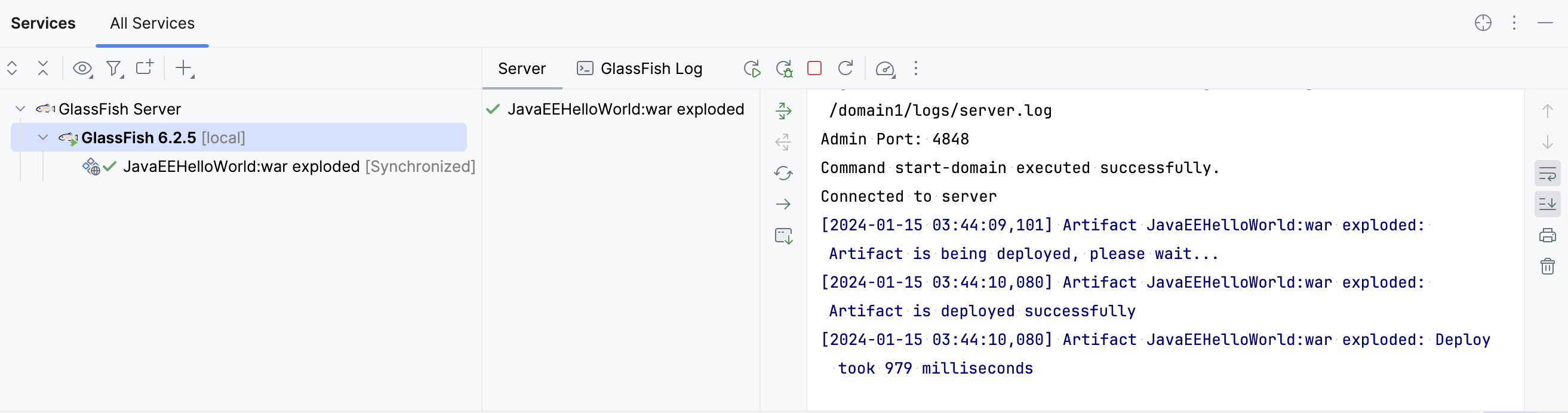 Started GlassFish server and deployed application in the Services tool window