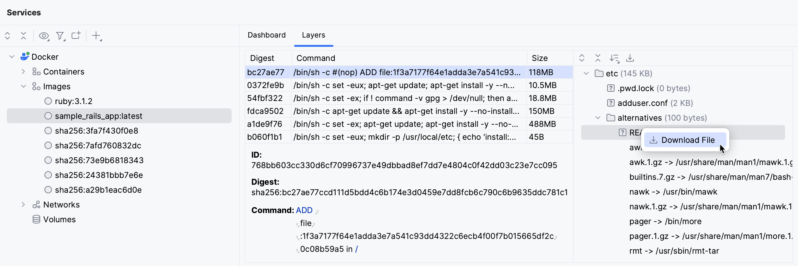 Open a file from a Docker layer