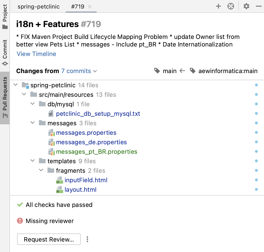 Tab with an overview of the selected pull request