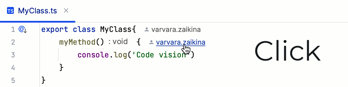 Inlay hints, code vision: code author