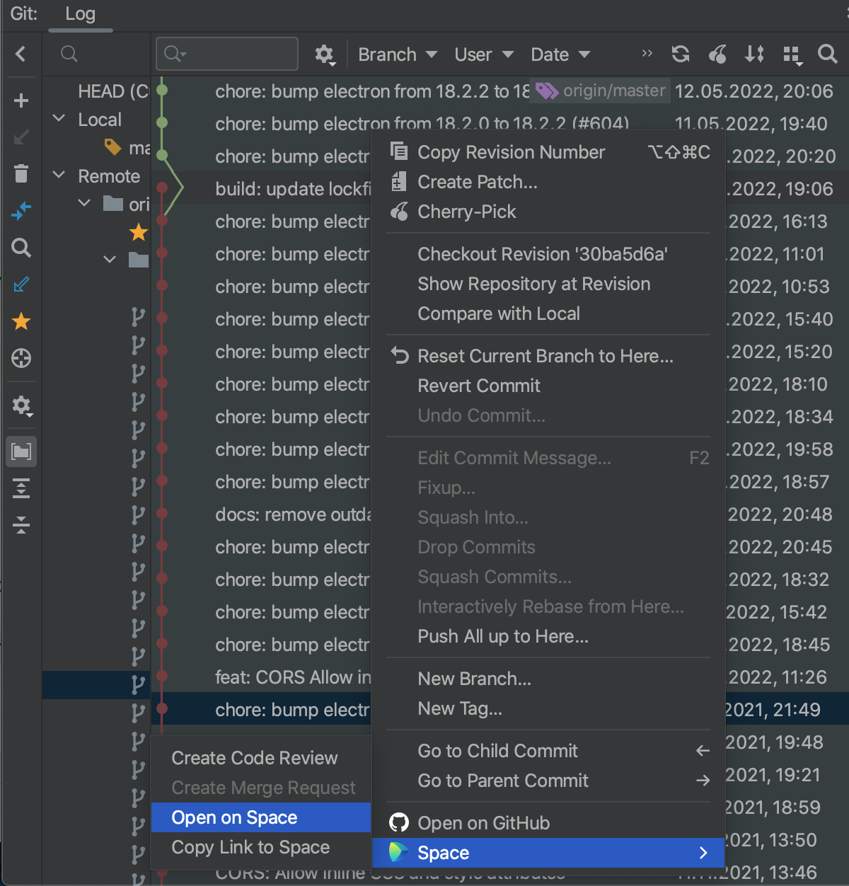 Open a commit in Space from WebStorm