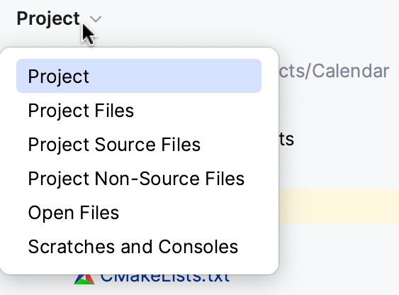 File scopes in Project view