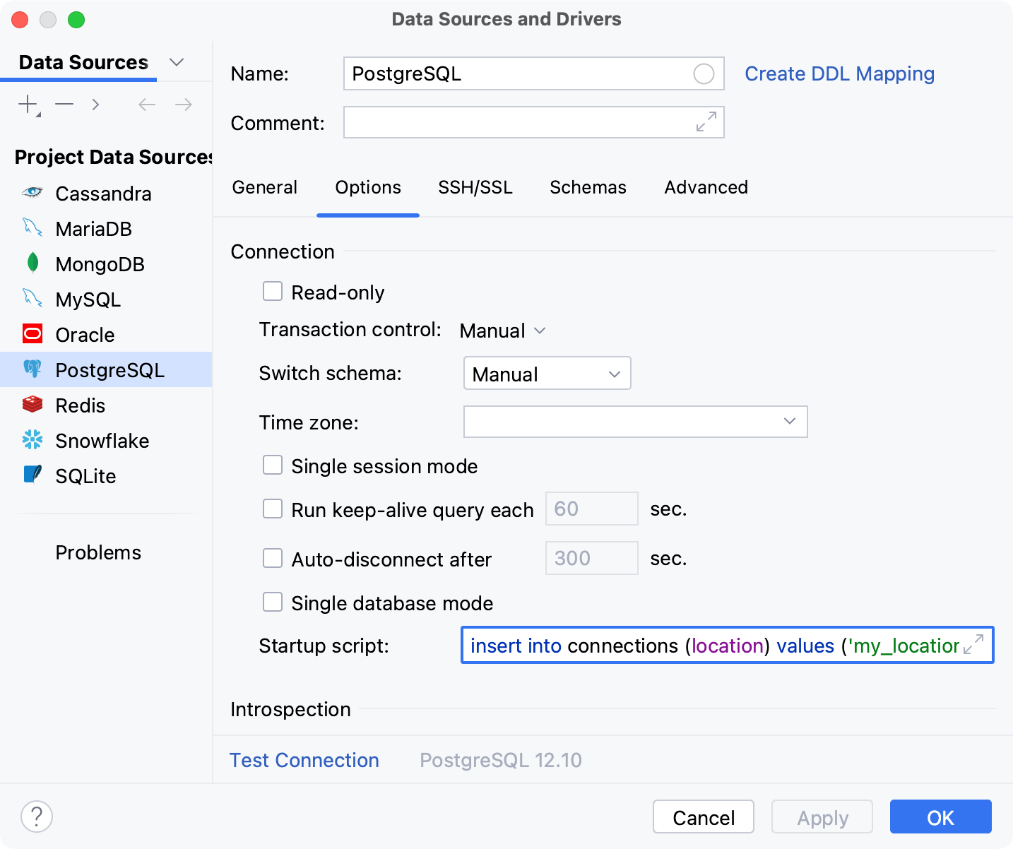 Run a predefined query as you establish a connection