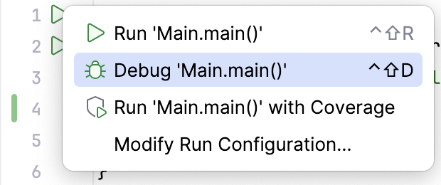 Run/Debug options